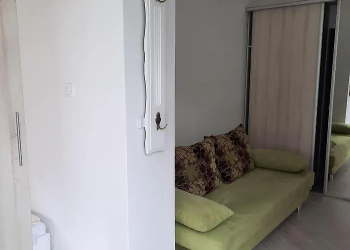 Wikoli * Мендзыздрое